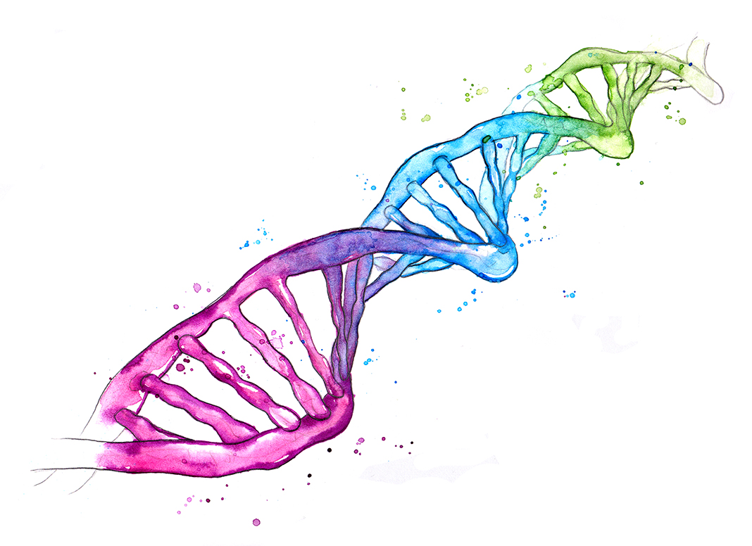 illustration of dna